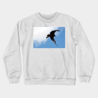 Whistling Kite Feeding On the Wing Crewneck Sweatshirt